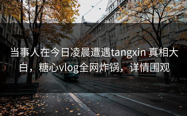 当事人在今日凌晨遭遇tangxin 真相大白，糖心vlog全网炸锅，详情围观